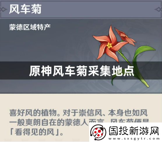原神风车菊采集地点在哪