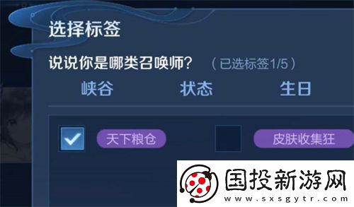 王者荣耀天下粮仓标签是什么意思
