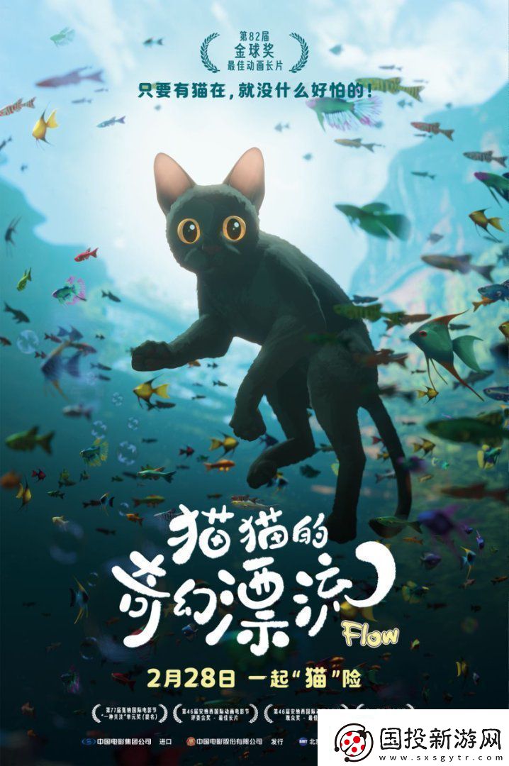 猫猫的奇幻漂流