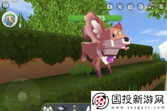 迷你世界怎么驯服狐狸
