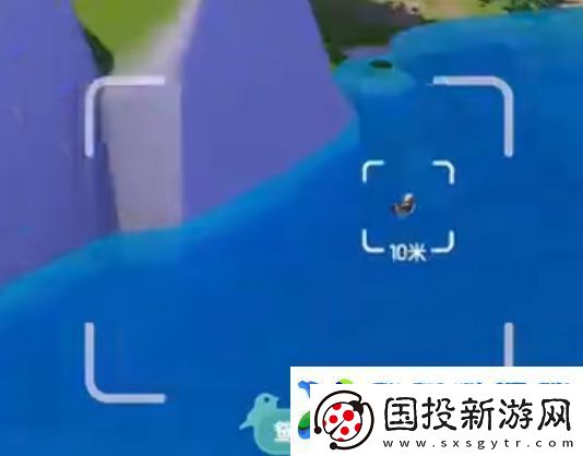 心动小镇新春季第3周4只鸟位置