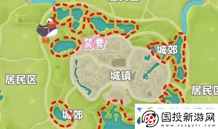 心动小镇新春季第3周4只鸟位置