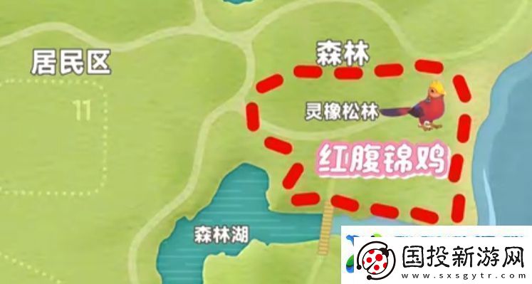 心动小镇新春季第3周4只鸟位置