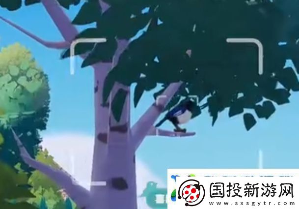 心动小镇新春季第3周4只鸟位置