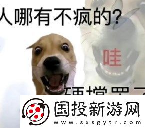 搞笑女必备无水印表情包分享