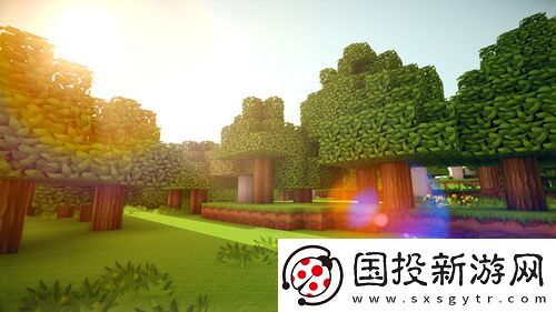 我的世界末地传送门怎么激活不了