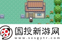 口袋妖怪绿宝石金手指代码大全