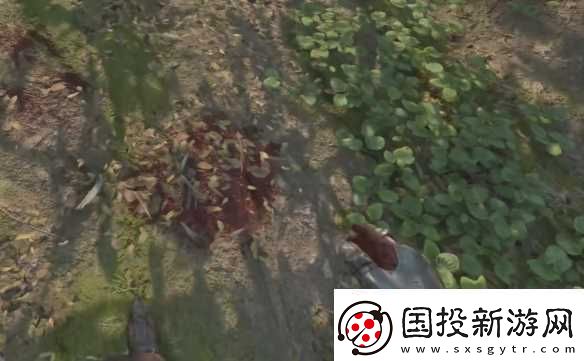 天国拯救2支线任务祖传宝物图文攻略
