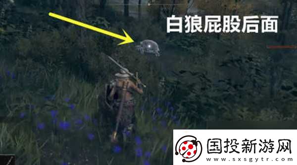 艾尔登法环三只睿智兽物在哪里全攻略
