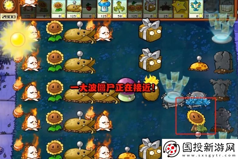 植物大战僵尸杂交版2.3.5版本在哪下载