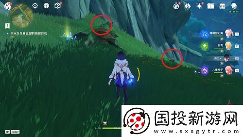 原神与珍稀之鸟的短暂邂逅怎么触发