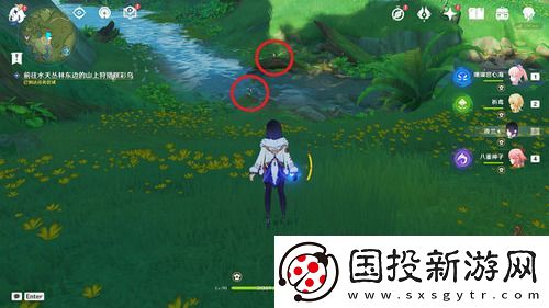 原神与珍稀之鸟的短暂邂逅怎么触发