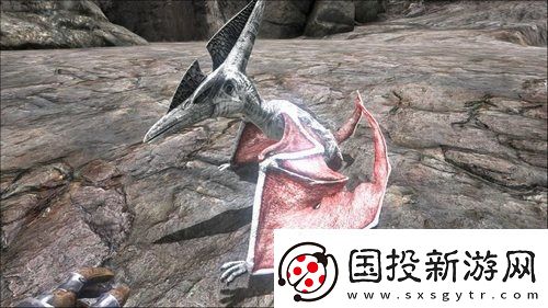 方舟手游重制版实用宠物推荐