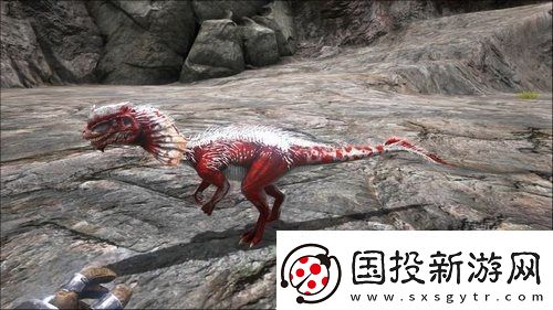 方舟手游重制版实用宠物推荐