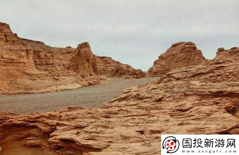 欧美无人区码卡二三卡究竟是什么
