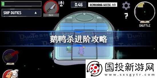 鹅鸭杀全职业进阶玩法攻略