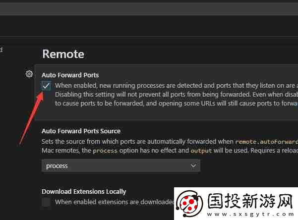 VSCode怎么开启自动转发端口