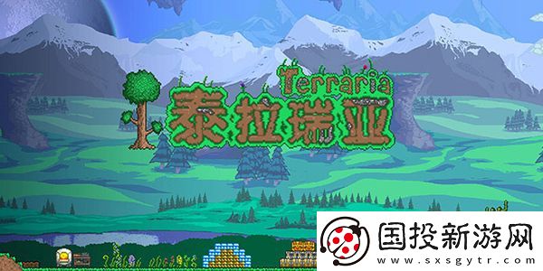 泰拉瑞亚虚空袋怎么用