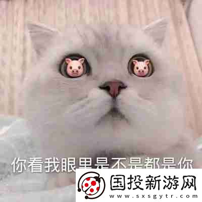 兜风吗妹妹表情包