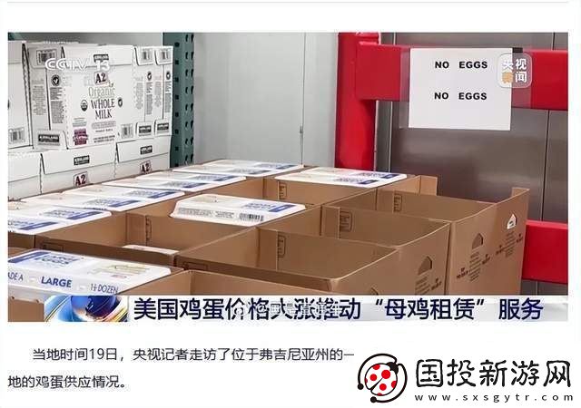 美蛋价飙升催热母鸡租赁