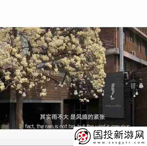 奶茶并不比烟贵一束花也不是高消费图片