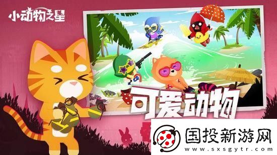 小动物之星下载