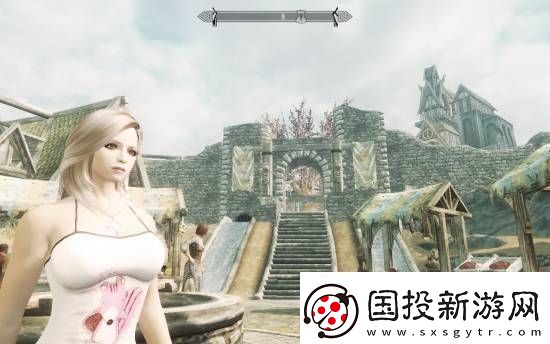 上古卷轴5性能优化秘闻