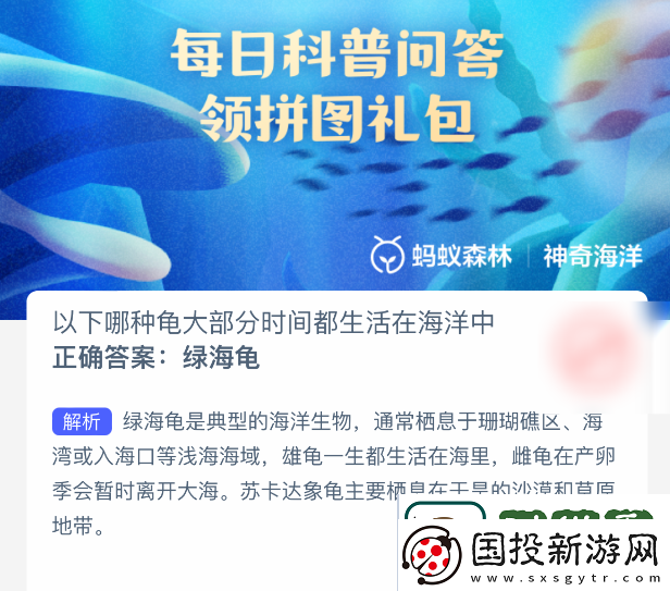 战术冒险