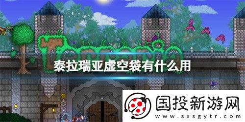 泰拉瑞亚虚空袋有什么作用