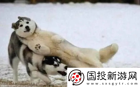比赞app下载