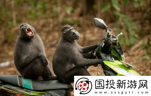 比赞app下载
