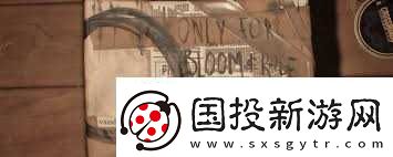 失落的记录中收藏品家朱雀的在哪里