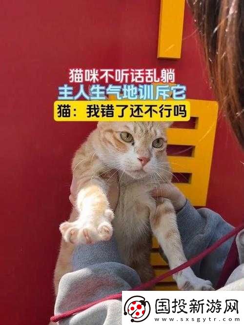 主人我错了请把它关掉好吗
