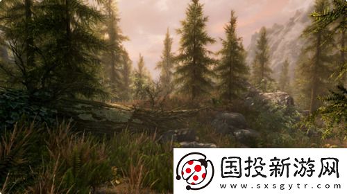 上古卷轴5皮革代码是什么