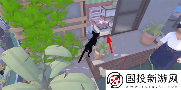 小猫咪大城市偷走园丁的午餐任务攻略