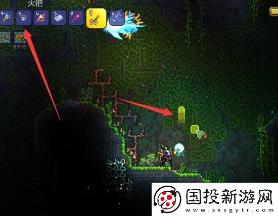 泰拉瑞亚蜂蜜怎么装