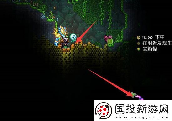 泰拉瑞亚蜂蜜怎么装