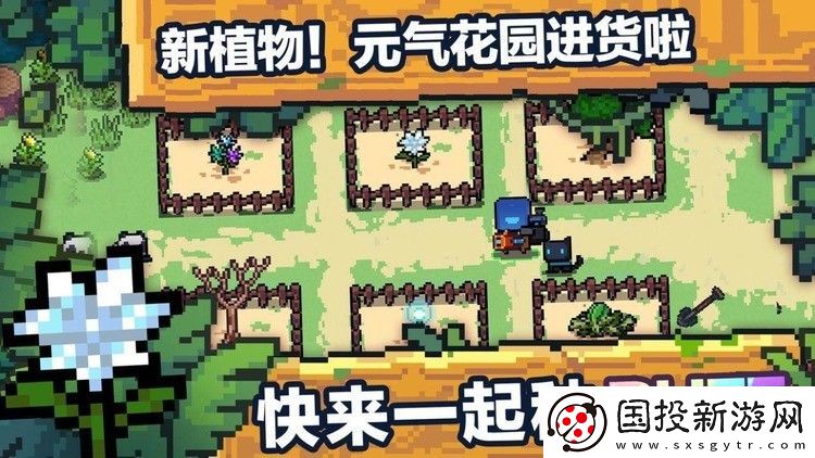 元气骑士种子作用大全2023