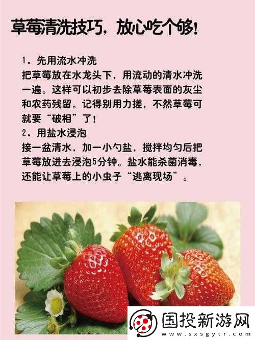 如何安全下载草莓黄版旧版本