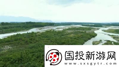 探索免费X站的宝藏