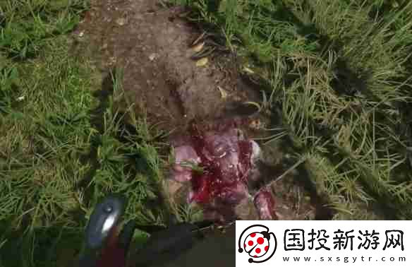 天国拯救2狼群中的羊任务怎么做