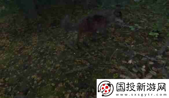 天国拯救2狼群中的羊任务怎么做