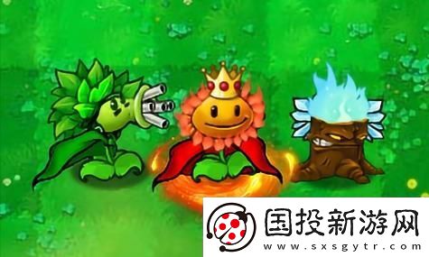 新视频中的希里变好看了