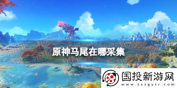 原神马尾在哪采集