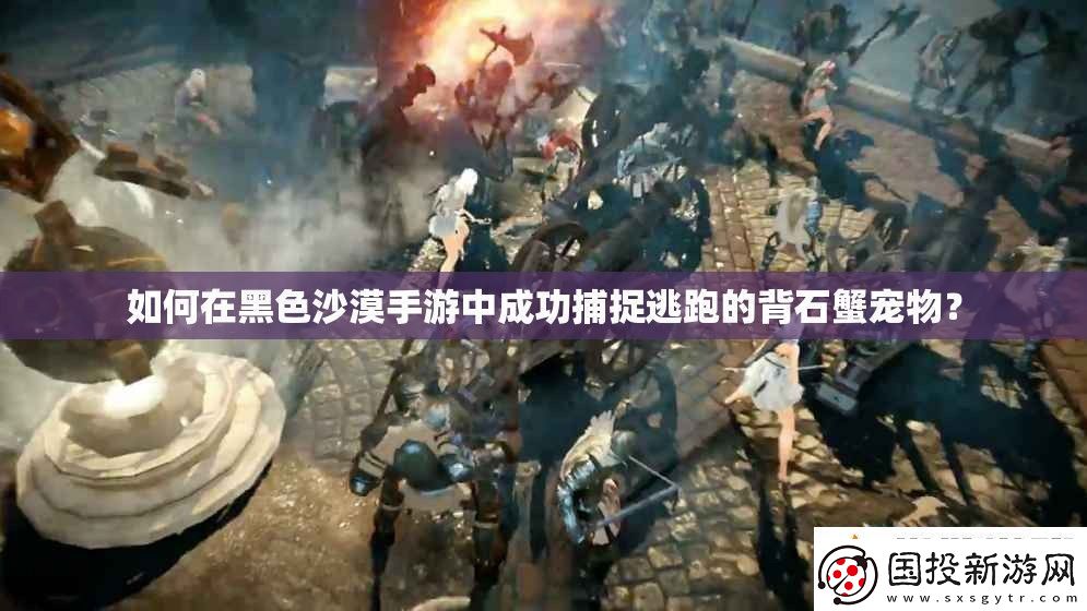 如何在黑色沙漠手游中成功捕捉逃跑的背石蟹宠物