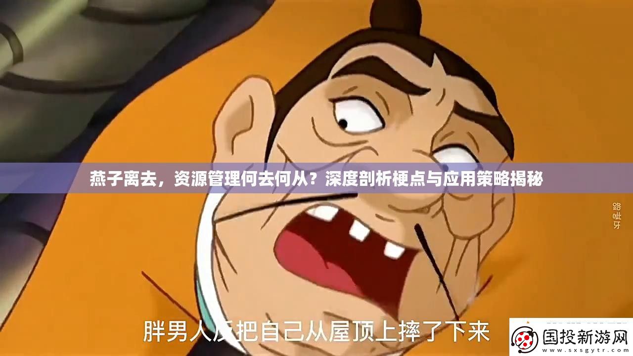 燕子离去资源管理何去何从深度剖析梗点与应用策略揭秘