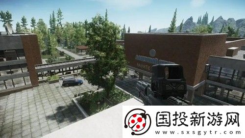 逃离塔科夫黄针激素怎么使用
