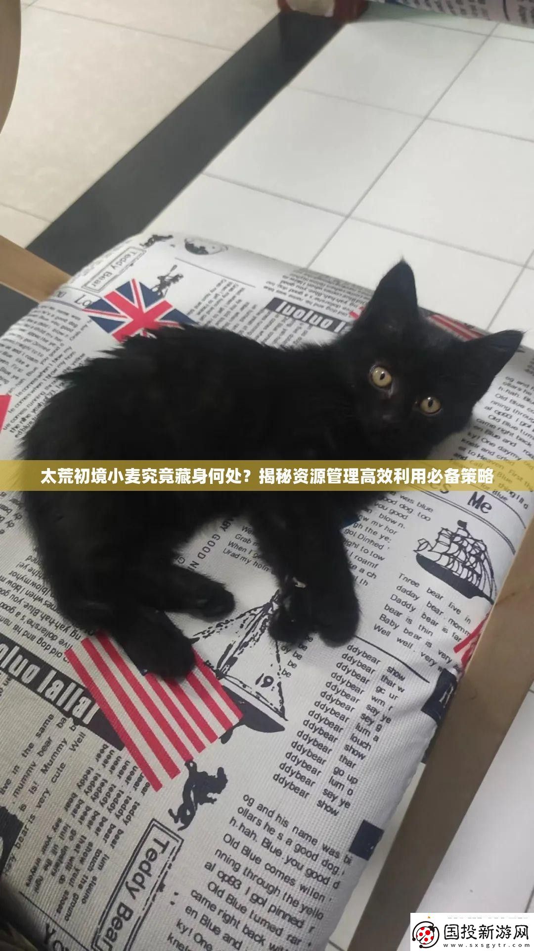 太荒初境小麦究竟藏身何处揭秘资源管理高效利用必备策略