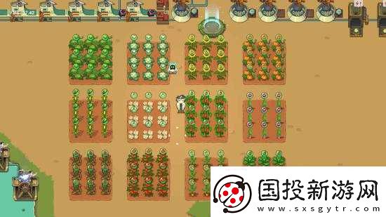 这周玩什么
