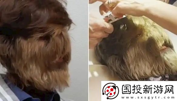 印度少年获“最毛脸”吉尼斯纪录